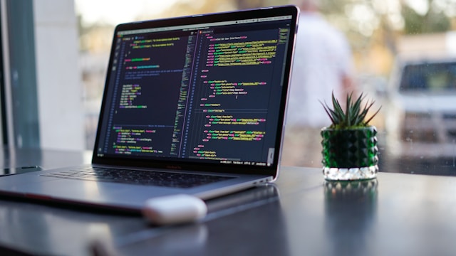 What Every Business Should Expect From a Professional Mobile Application Developer